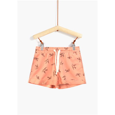Quần sort Tex - Cam chú chim Quần sort Tex - Cam chú chim